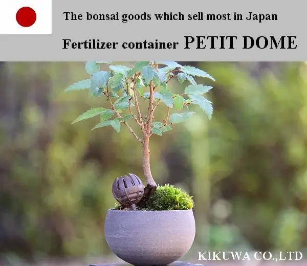 Bonsai gübre kök kanca ekim ürünleri Kamizukuri bıçakları Bonsai fırçalar ekim hastalıkları Bonsai setleri