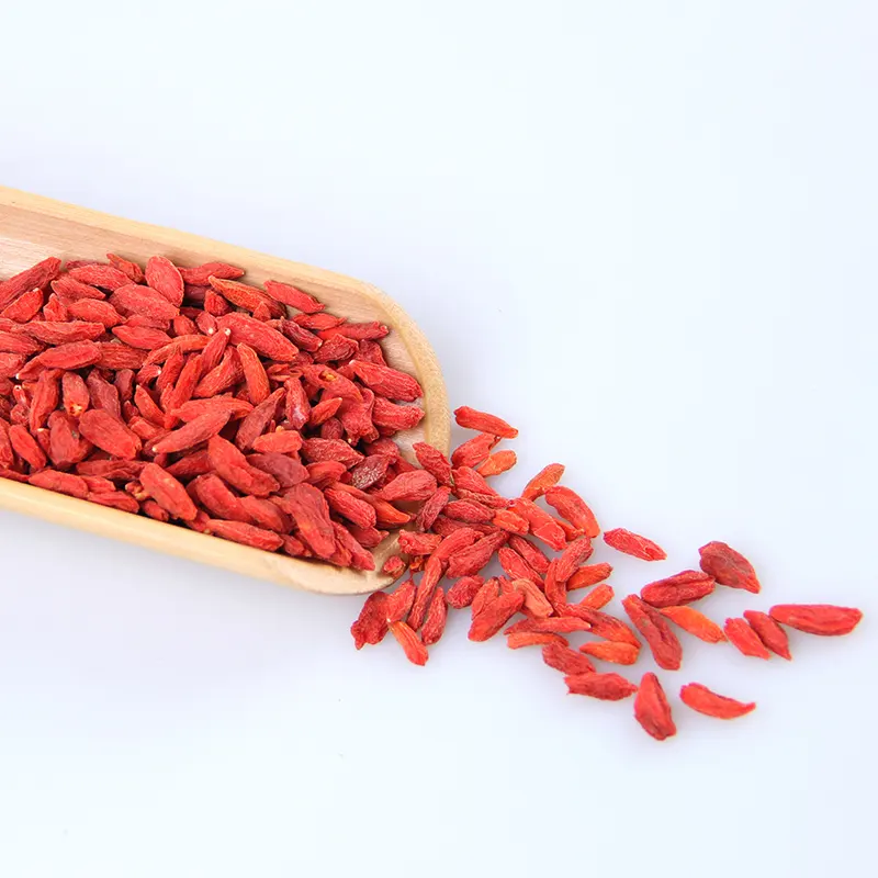 Goji Seed Wholesale Wolfberry New Crop Dried ningxia Goji Berry