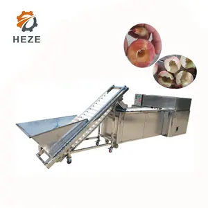 Máquina de remoção de pedra do núcleo de apricot automático, equipamento extrator de keril