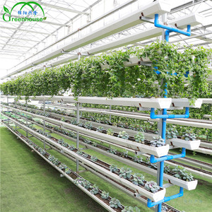 Hot Sale Tropf bewässerungs system für Gewächshaus - Product Image 3