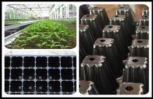 ถาดเพาะกล้ายาสูบ105เซลล์ภาชนะเพาะเมล็ดสำหรับปลูกพืชเพาะเพาะต้นกล้า - Product Image 2