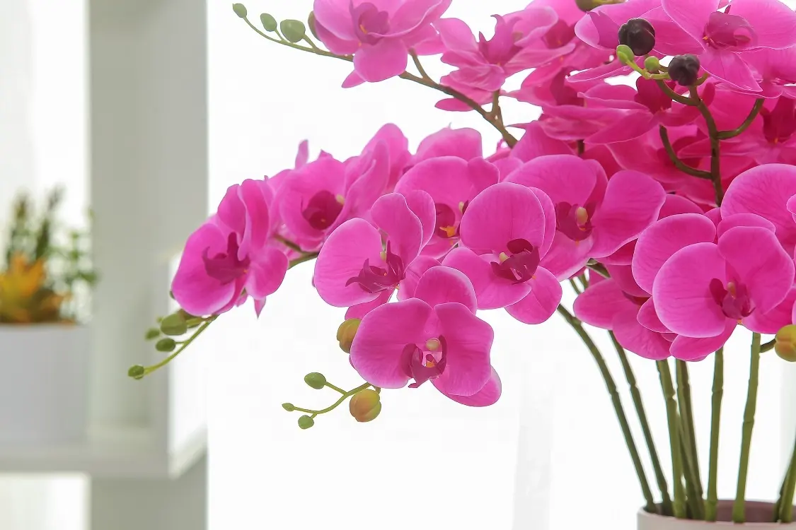 Reale di tocco 3D decorativo 7 teste phalaenopsis disposizione di fiori di orchidea artificiale per il FAI DA TE