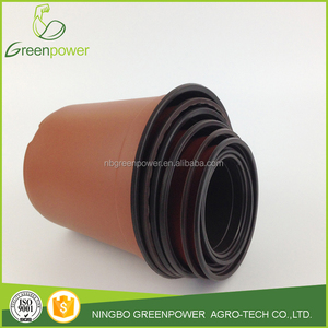 Chậu Nhựa Bắt Đầu 15Cm/150Mm Để Cấy Hoa - Product Image 4