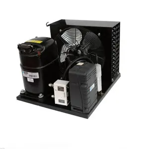 CAJ2446ZBR CAJ2446Z Tecumseh Compressor R404a 1hpขนาดเล็กCondensing Unit