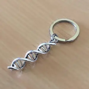 Aksesori Keyring Heliks Ganda DNA Aksesori Molekul DNA Penelitian Hadiah Biologi