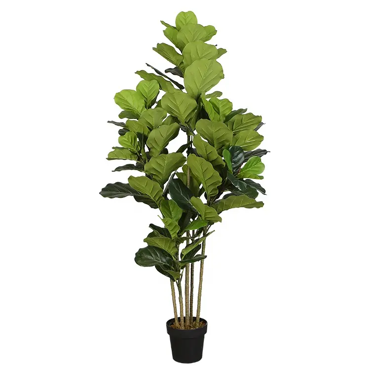 165cm Fashional Artificielle Ficus Lyrata Pour La Décoration De Magasin Y8515-126-5PS