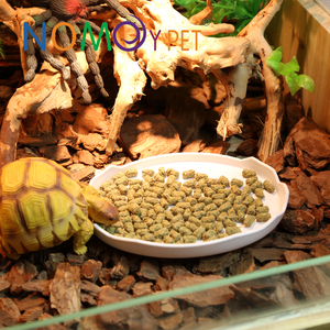 NOMOY PET Venta Directa de Fábrica al <span class=keywords><strong>por</strong></span> Mayor, Plato Pequeño de Plástico PP de Grado Alimenticio, Tazón para <span class=keywords><strong>Comida</strong></span> y Agua para Reptiles NW-02 - Product Image 5