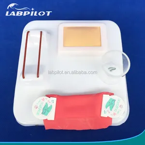 Kit de ensino de habilidades cirúrgicas, anastomose intestinal e sutura practice pad