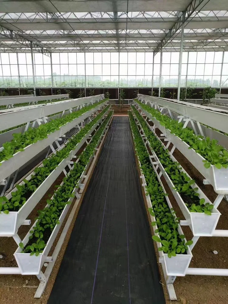 NFT hydroponic growing gully/channel hydroponic strawberry hydroponic system manufacturer