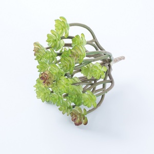 Plantas Artificiales <span class=keywords><strong>Suculentas</strong></span> Miniatura sin Maceta para Decoración <span class=keywords><strong>de</strong></span> Interiores, Surtido DIY <span class=keywords><strong>al</strong></span> <span class=keywords><strong>por</strong></span> <span class=keywords><strong>Mayor</strong></span>, Económicas, en <span class=keywords><strong>Venta</strong></span> - Product Image 6