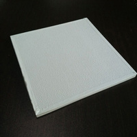 Dalles de Plafond en Plâtre Stratifié PVC avec Revêtement en Feuille d'Aluminium | Panneau de Plafond Suspendu Décoratif pour Design Intérieur Moderne