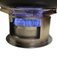 Quality Alcohol Stove with Precision Cooking Options 