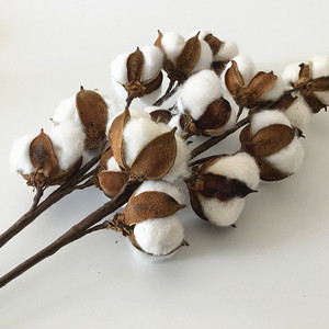 Offre Spéciale 22 pouces Blanc séché Artificiel Fleur De Coton Tige