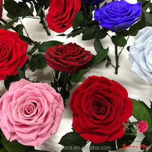 Fleurs préservées en gros dans du verre, tête de <span class=keywords><strong>rose</strong></span> de 10 cm, décoration florale, roses préservées - Product Image 6