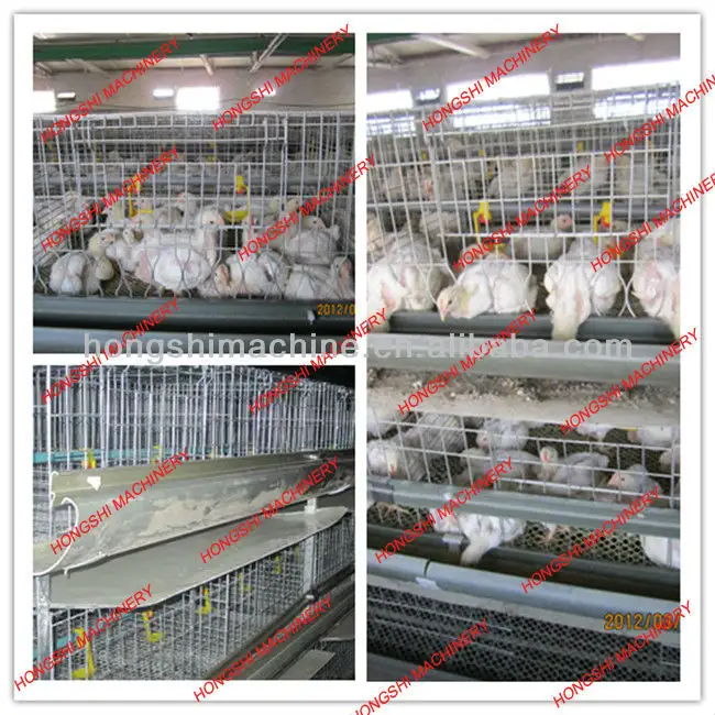 Высококачественная куриная клетка/куриная клетка