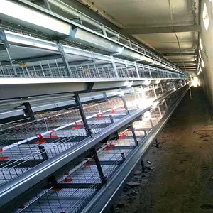 Harga Murah Gaya H Kandang Anak Ayam Pullet Otomatis Isi Ulang Cage Sistem Lapisan Brood Chicken House Rencana untuk Peternakan Unggas Di India