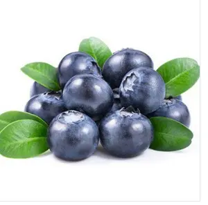 Giá Nhà Máy Tự Nhiên Khỏe Mạnh Đông Lạnh Chiên Fresh Blueberry Khỏe Mạnh Việt Quất Snack