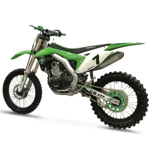 2019 중국어 최신 슈퍼 먼지 자전거 250cc