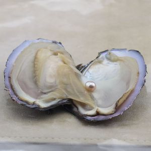 Ostriche Akoya con Perle d'Acqua Dolce Rotonde - Product Image 3