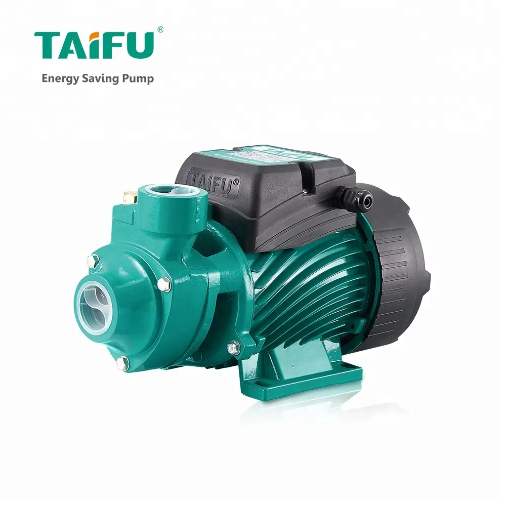 TAIFU QB60 0.5hp monophasé centrifuge italie spécifications de la pompe à eau