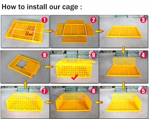 2017 meilleure vente cage de transport de poulet vivant en plastique (lydia :0086.15965977837)