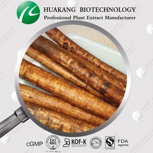 Alta calidad extracto de raíz de <span class=keywords><strong>bardana</strong></span> / extracto de hierbas - Product Image 4