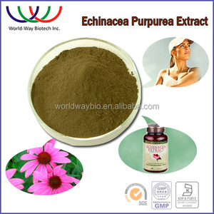 <span class=keywords><strong>Hplc</strong></span> kosher fda 2% 4% ácido chicórico, 4% ácidos fenólicos, 4% 8% echinacea echinacea purpurea extracto de polifenoles - Product Image 2