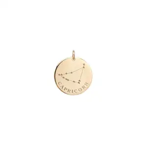 Inspire Sieraden 14 K Vergulde Medium Disc Charme Hanger Gegraveerd Met Coin Brief En Zodiac Naam Rvs Groothandel