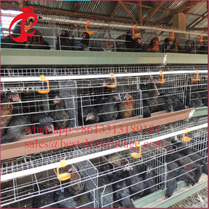 Precio más bajo Chciken Jaulas Venta Aves de Corral Waterer para granja Capa Gallineros de China - Product Image 2