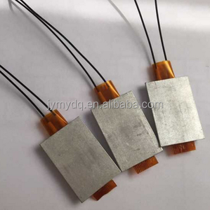 एसी डीसी 24 V के लिए पीटीसी हीटर तत्व थर्मोस्टेट हीटिंग प्लेट गरम - Product Image 6