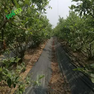 Anti Onderdrukken Onkruidgroei Zaadkieming Landschapsstof Bosbessen Bodembedekker Onkruidverdelger Mulchdoek