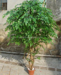Hot Koop Tuin Indoor Faux Potplanten Groene Kunstmatige <span class=keywords><strong>Bonsai</strong></span> <span class=keywords><strong>Ficus</strong></span> Bomen - Product Image 2