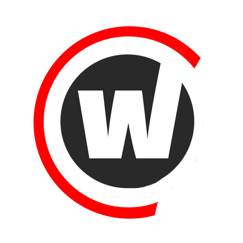 Shenzhen Wayhang Technology Co., Ltd. logo
