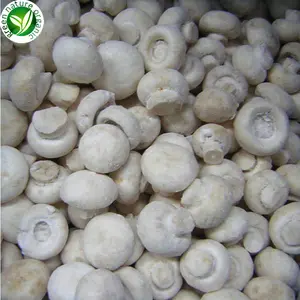 Bester Preis IQF Frozen Fresh White Beech Button Champignon Pilz in Scheiben geschnitten