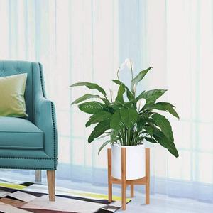 Supporto per Piante da Interno, Regolabile in Bambù, per Piante da 20-30 cm, Stile Mid-Century - Product Image 2