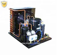 Unidad de condensación de refrigeración, unidad de condensación de habitación fría, miniunidad de condensación, 1/2HP