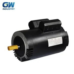 GW 전기 제품 단상 2hp 수영장 펌프 전기 모터