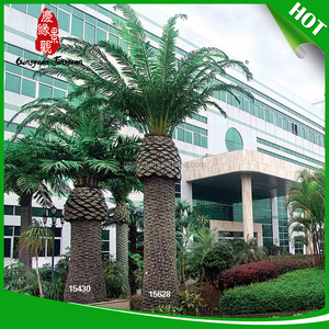 Profesional de interior grande árbol - Product Image 1