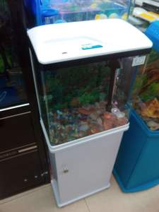 RÉSERVOIR de POISSONS BETTA SIAMOIS LUTTE CONTRE LE RÉSERVOIR NANO AQUARIUM ENSEMBLE COMPLET + LIVRAISON ALIMENTAIRE - Product Image 2