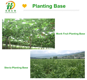 Calorie Thấp <span class=keywords><strong>Baking</strong></span> Thực Phẩm Gây Nghiện Pha Trộn Chất Làm Ngọt Sucralose Stevia Erythritol Như Đường Thay Thế - Product Image 4