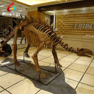 พิพิธภัณฑ์มาตรฐานสมจริงโครงกระดูกไดโนเสาร์ fossil replica อื่นๆไดโนเสาร์ Fossil Replica - Product Image 2