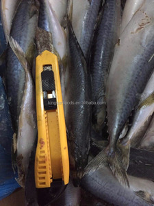 Pescado <span class=keywords><strong>caballa</strong></span> Chub mackerec pescado - Product Image 4