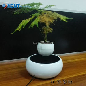 Levitando Japonés árboles bonsai artificiales con semillas de bonsai - Product Image 6