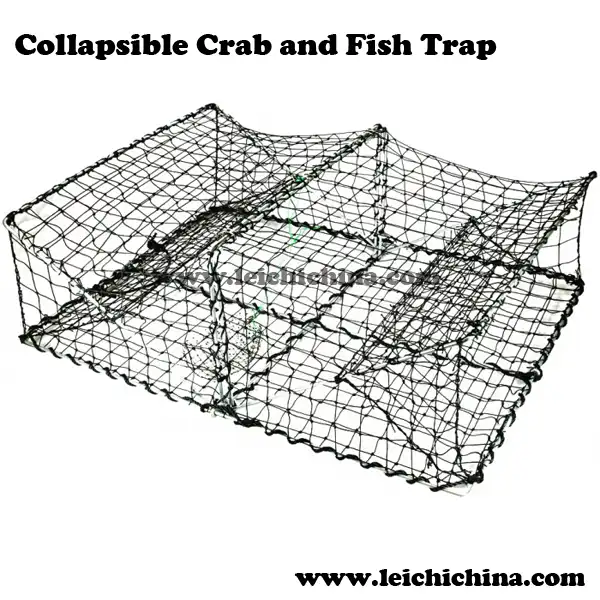 Collapsible Wire Fish Baskets - Qingdao Leichi Industrial & Trade Co.,Ltd.