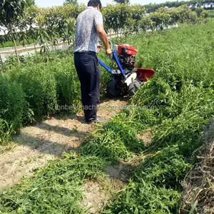 Sesamo Lavanda erbe Officinali Comune Ance Riso Frumento Reaper Legante