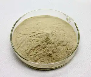 Halal Nelumbo Nucifera Seed Extract Powder