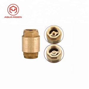 Kiểm Tra Van 3/4 Châu Âu 100% Đồng Thau Với Bộ Lọc Loại Maraca - Product Image 1