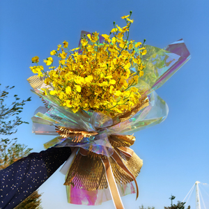 Giấy Bóng Kính Nhựa Đẹp Đầy Màu Sắc Tươi Sáng Bán Chạy Nhất - Product Image 5