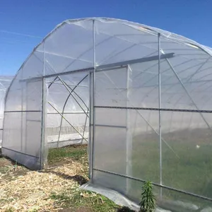 Agricultural Plastic Film Single-Span Greenhouse With Popular Drip Irrigation Equipment