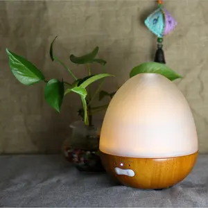 Hidly 200ml Essential Oil Diffuser Egg Shape USB Humidifier Aromatherapy Oil Diffuser Air Purifier with LED Light